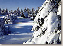 Der Sauerländer Winter lädt zum Skifahren, Langlauf oder zum Wandern ein.